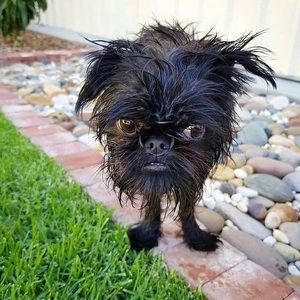 Meet your Posher, Trina